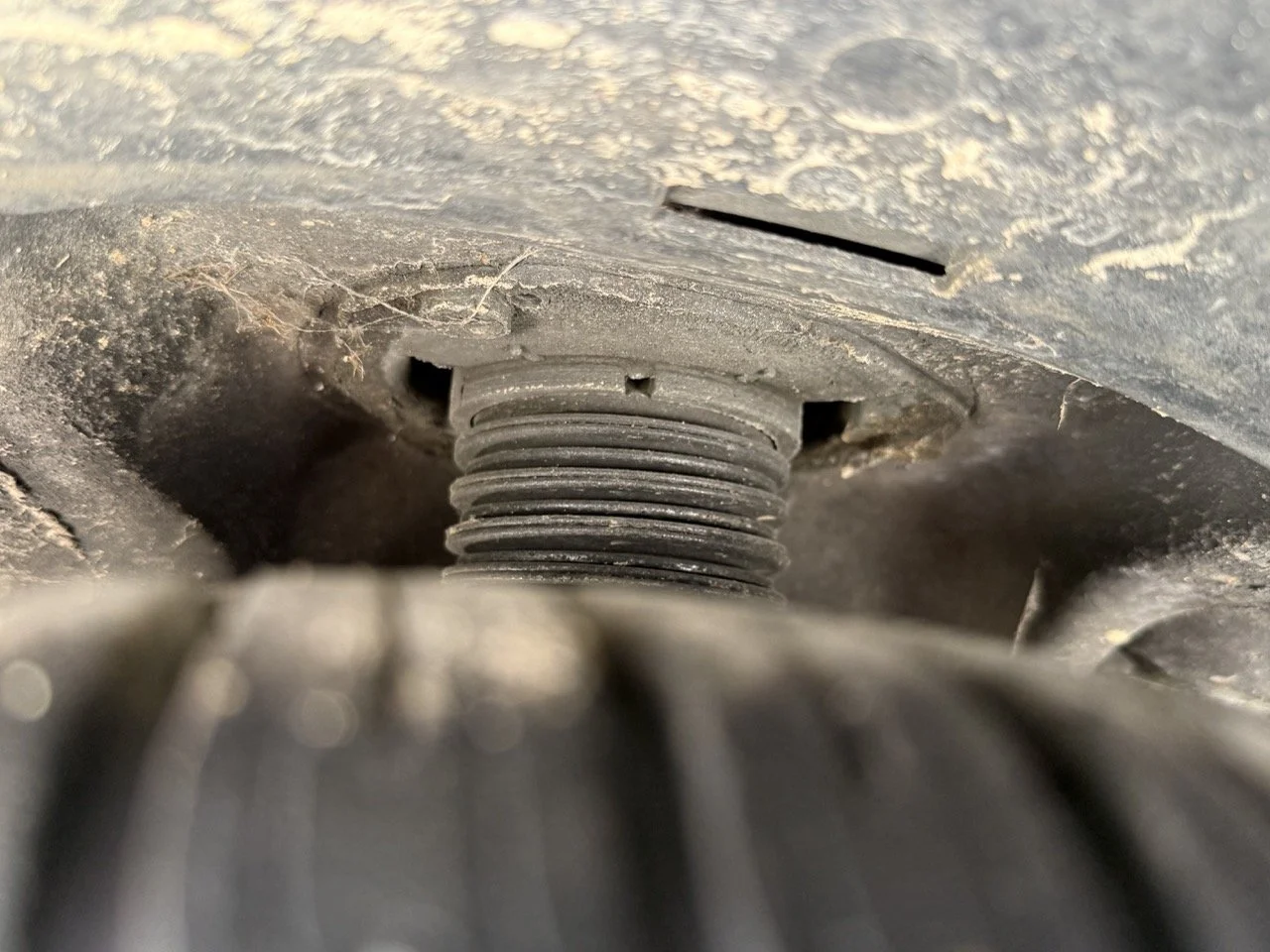 IMG_2642 – grande.jpeg