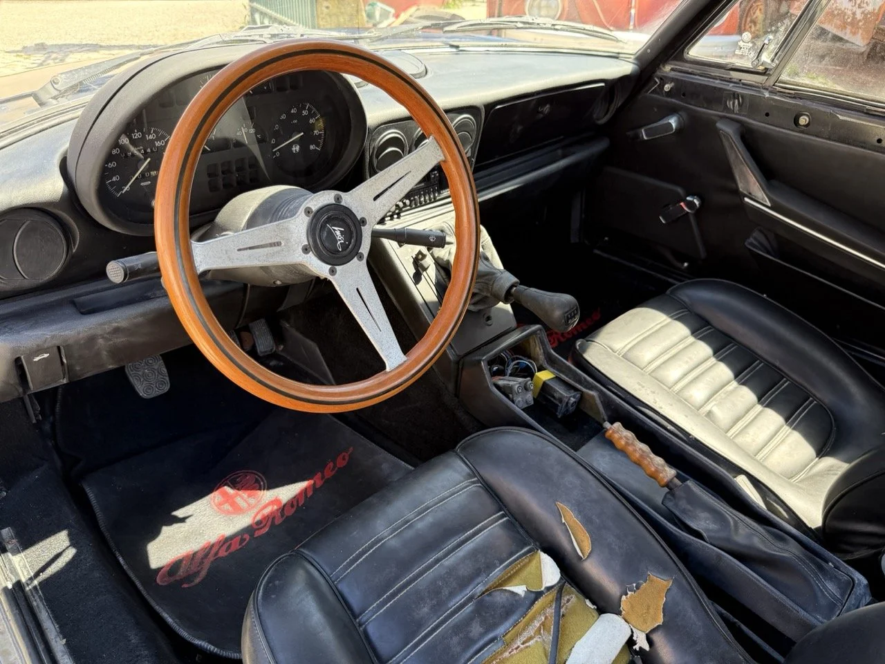 IMG_2148 – grande.jpeg