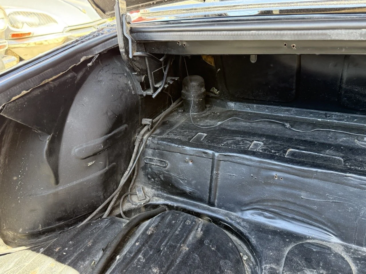 IMG_2212 – grande.jpeg