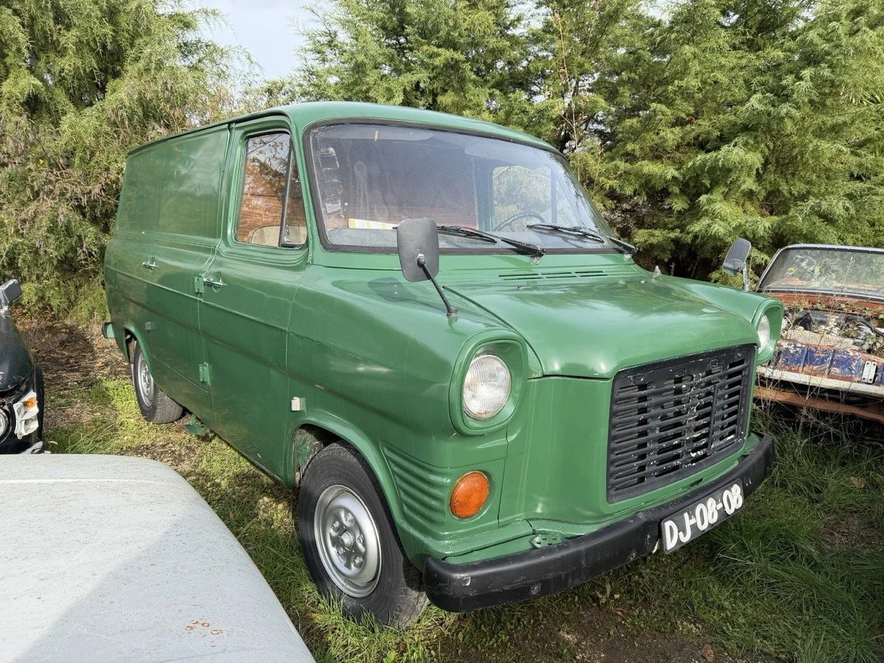 IMG_3894 – grande.jpeg