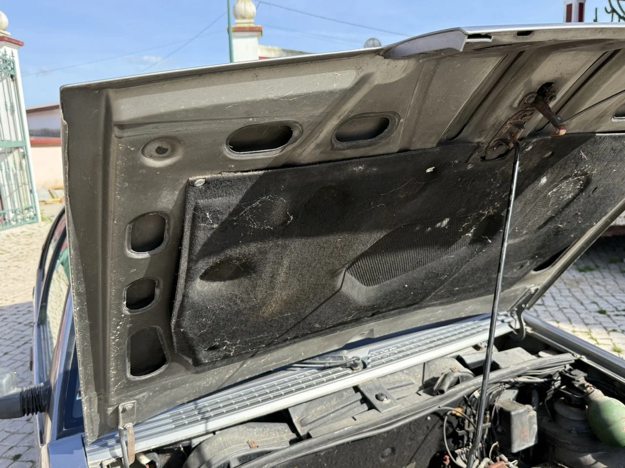 IMG_2600 – grande.jpeg