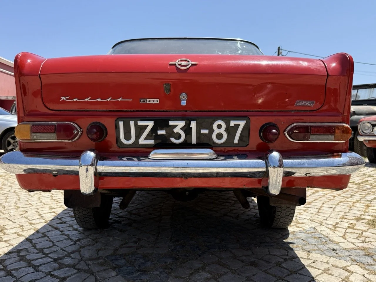 IMG_7010 – grande.jpeg