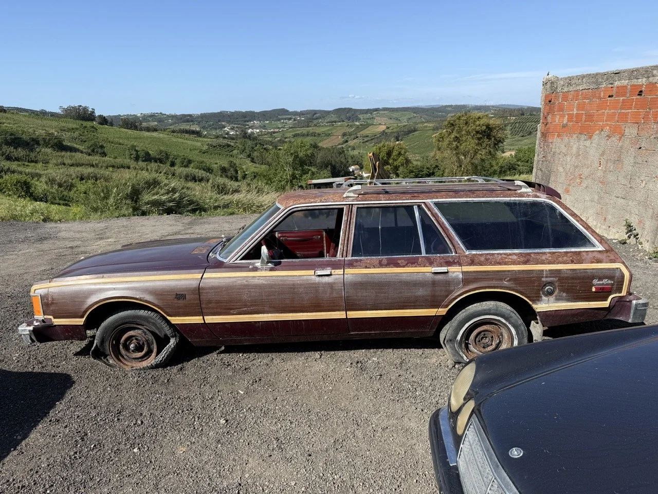 IMG_3005 – grande.jpeg