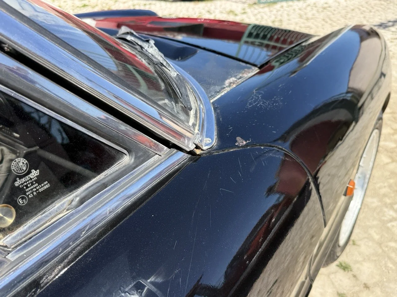 IMG_2197 – grande.jpeg