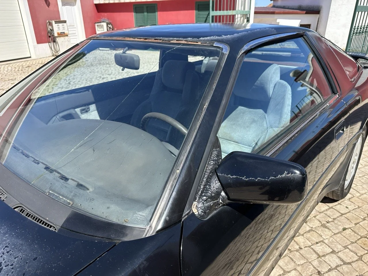 IMG_3107 – grande.jpeg