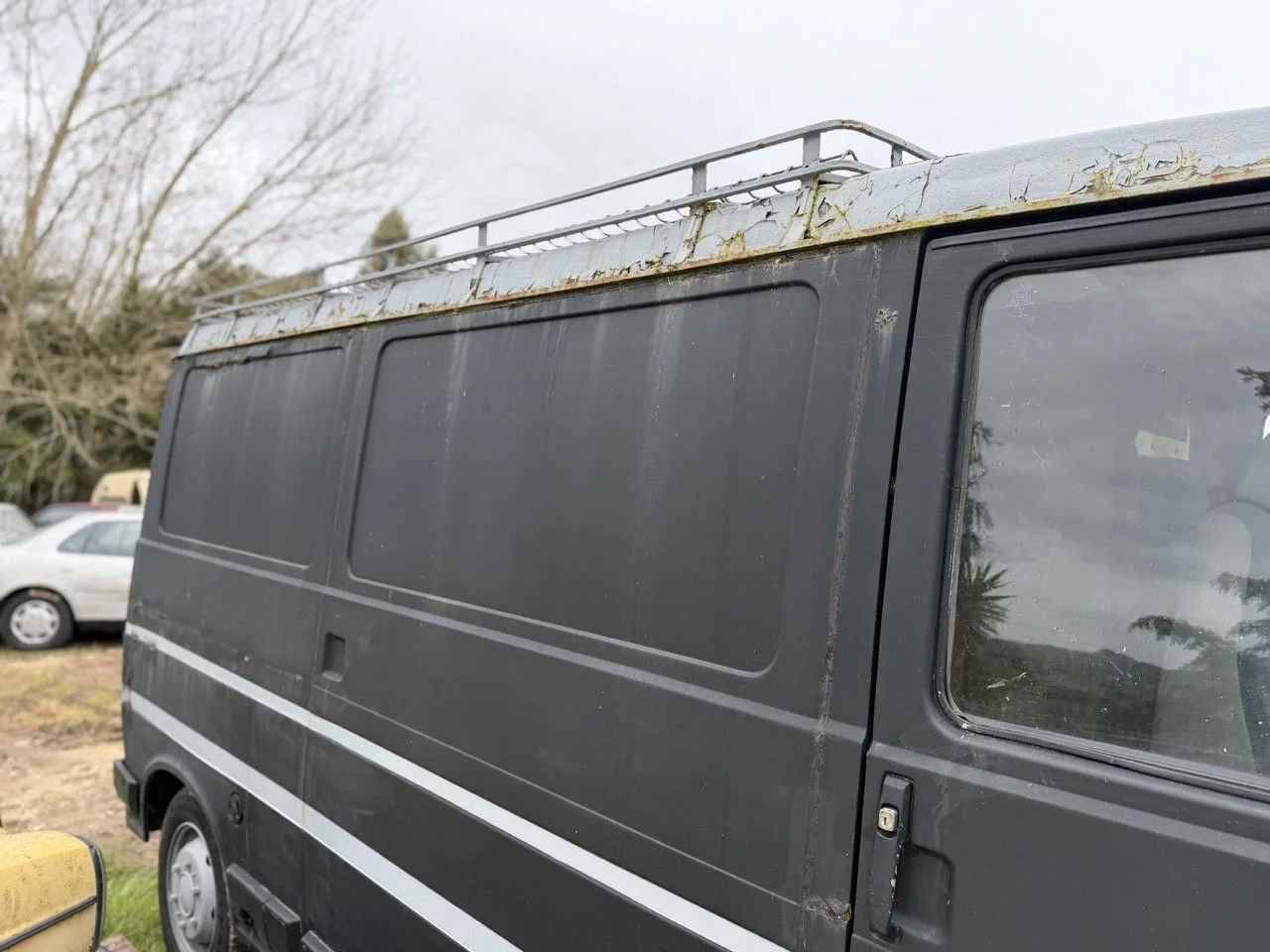 IMG_1301 – grande.jpeg