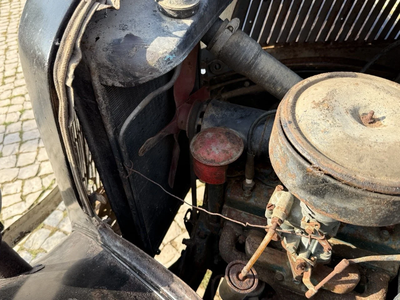 IMG_3705 – grande.jpeg