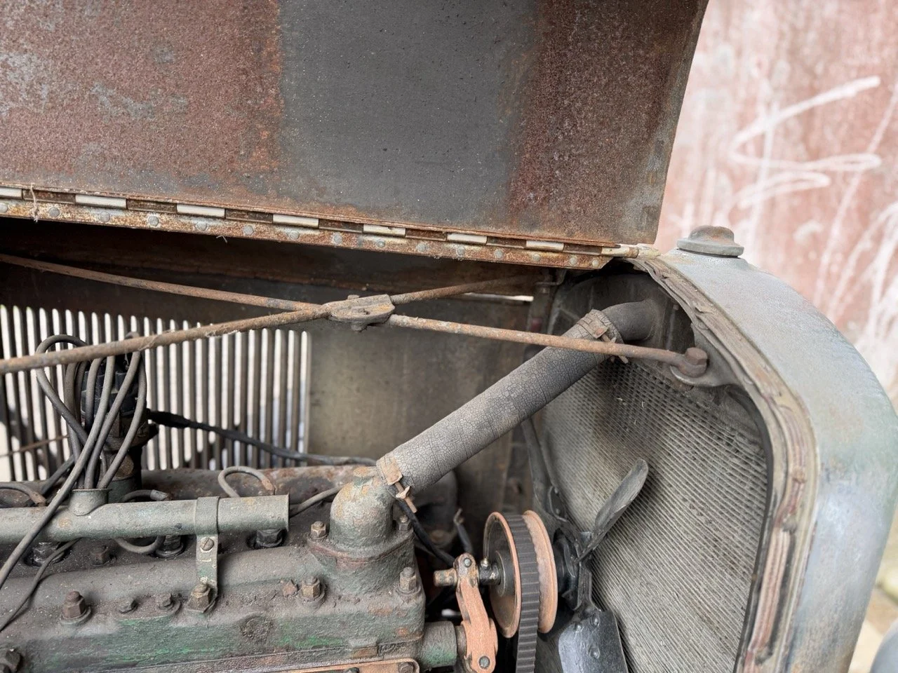 IMG_1695 – grande.jpeg