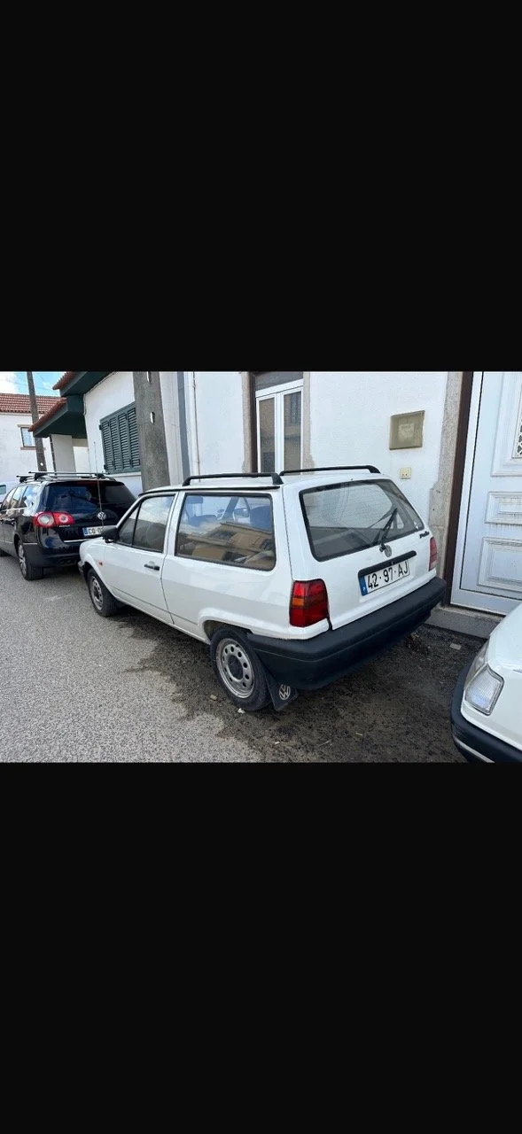 IMG_5281 – grande.jpeg