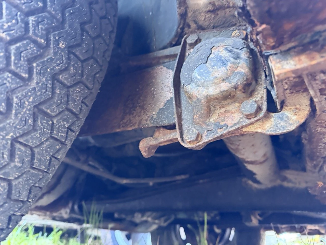 IMG_8583 – grande.jpeg