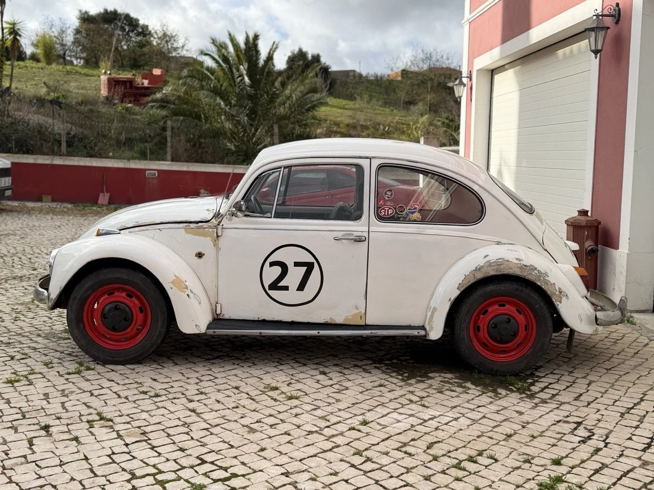 IMG_8628 – grande.jpeg