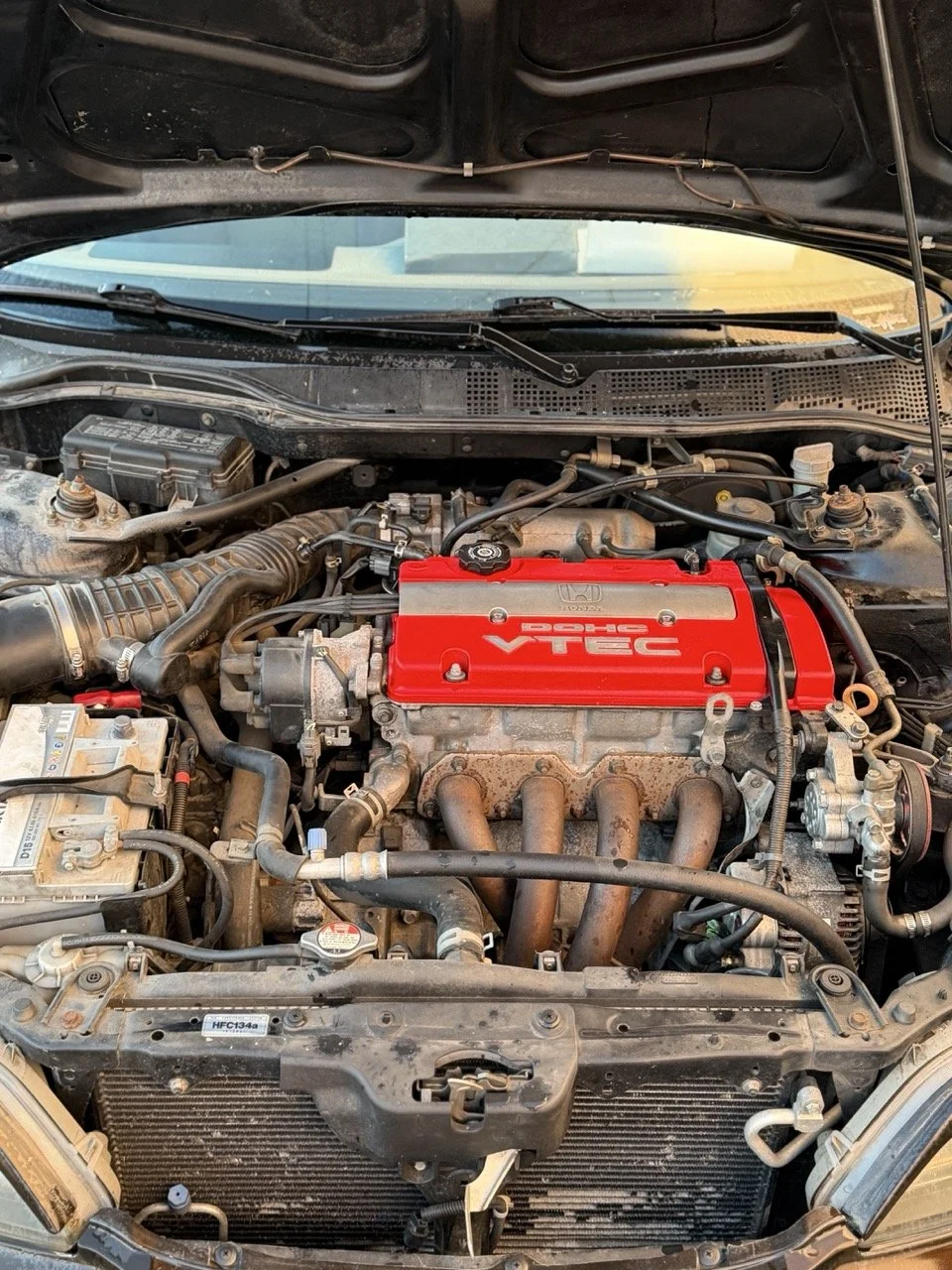 IMG_3714 – grande.jpeg