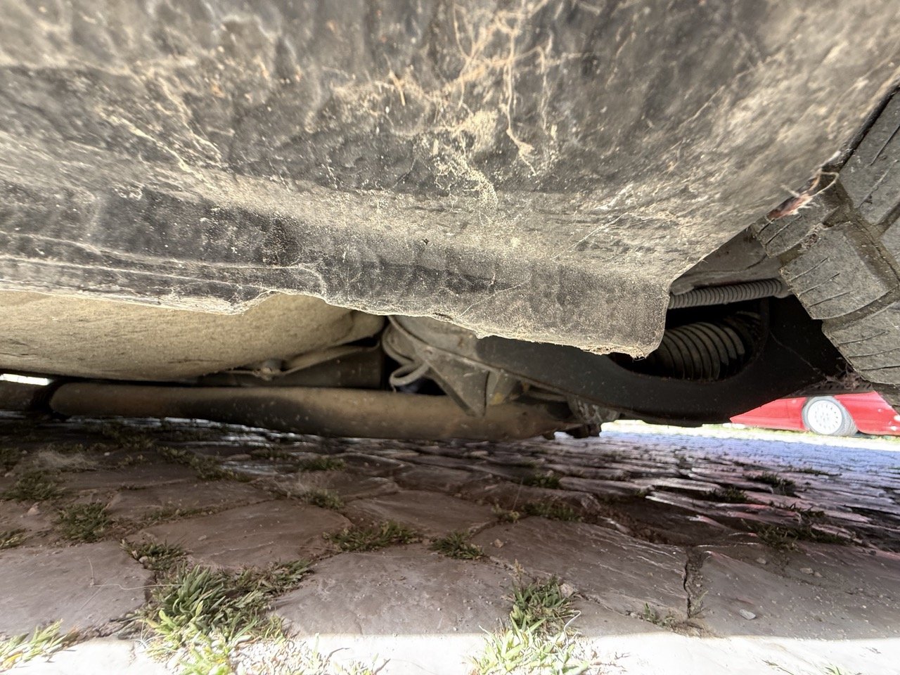 IMG_2621 – grande.jpeg