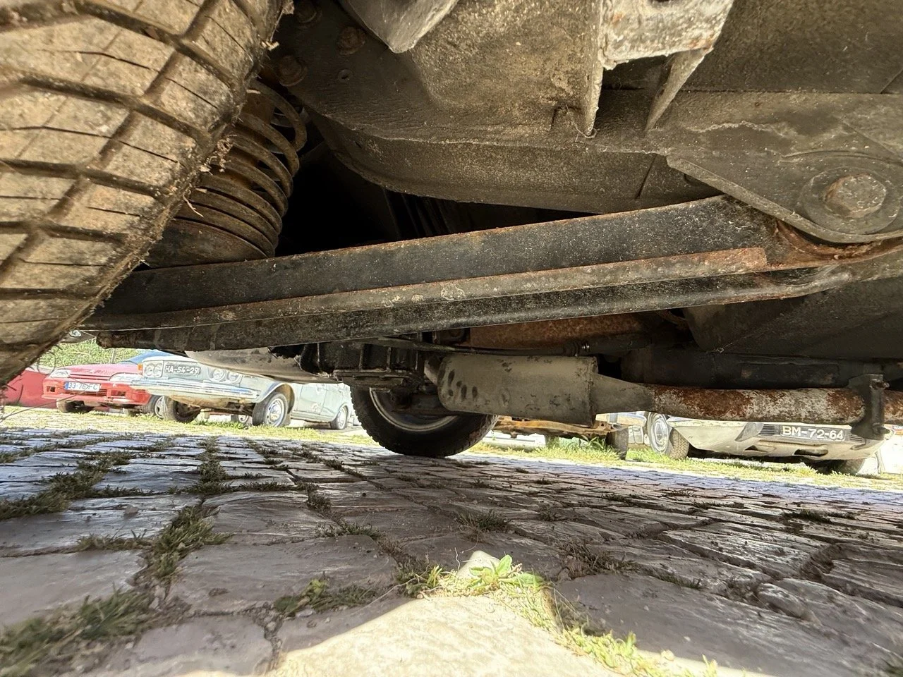 IMG_2234 – grande.jpeg