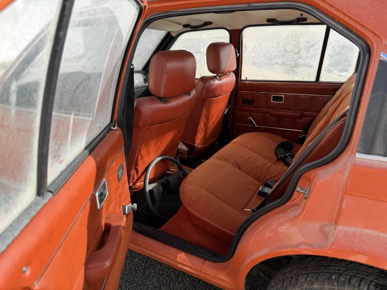 IMG_2936 – grande.jpeg