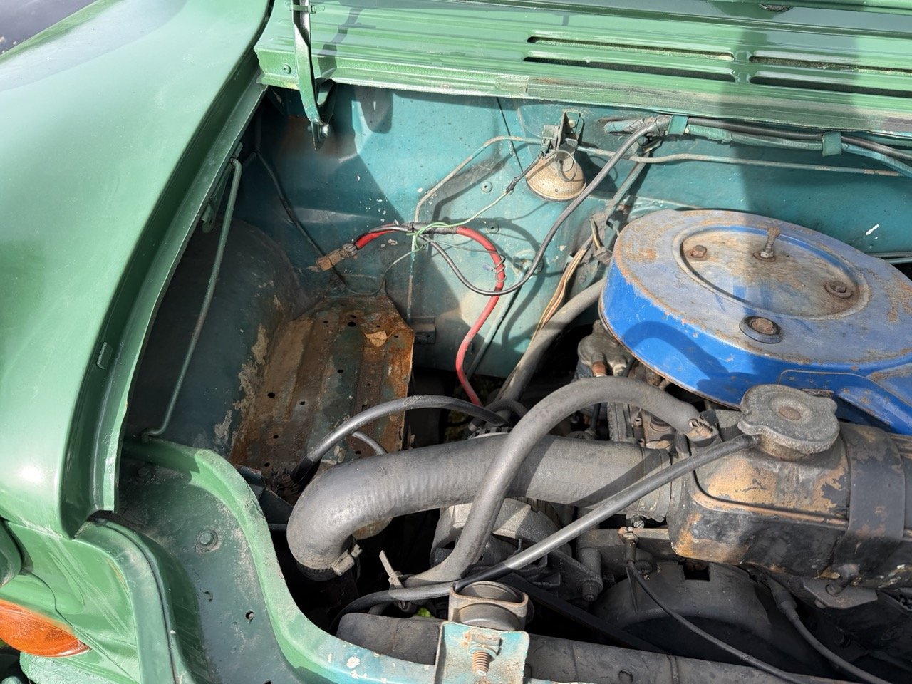 IMG_3891 – grande.jpeg