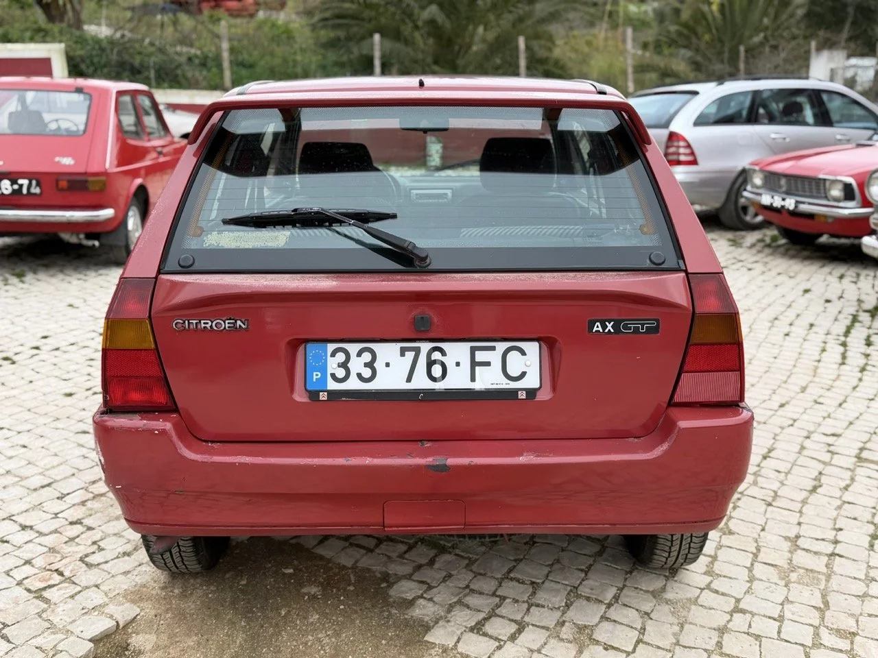 IMG_3570 – grande.jpeg