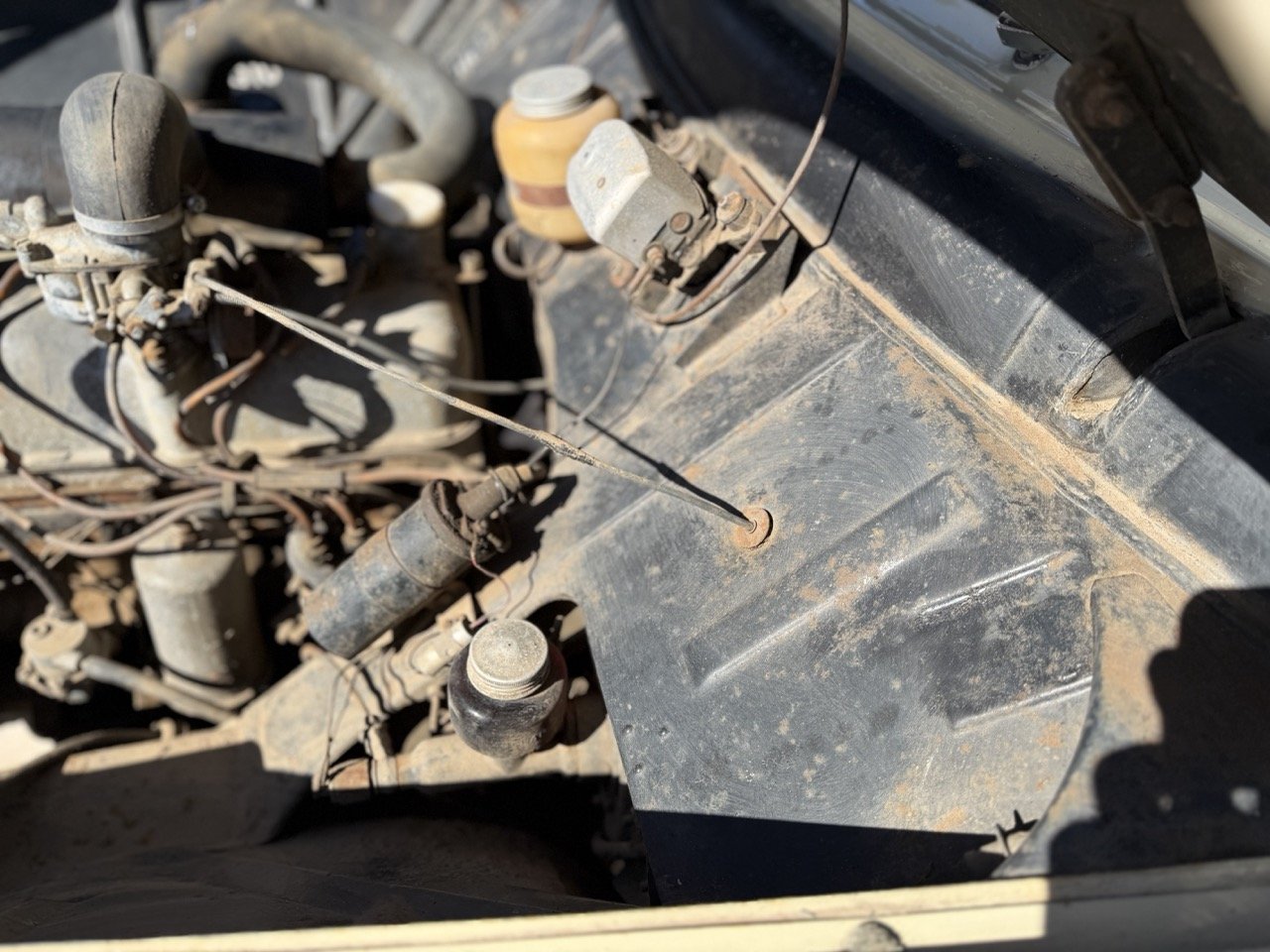 IMG_6669 – grande.jpeg