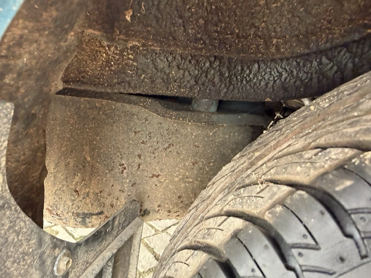 IMG_6334 – grande.jpeg