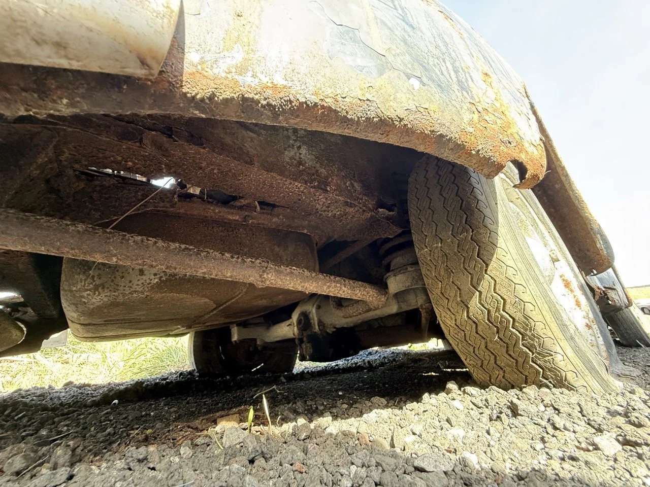 IMG_0424 – grande.jpeg