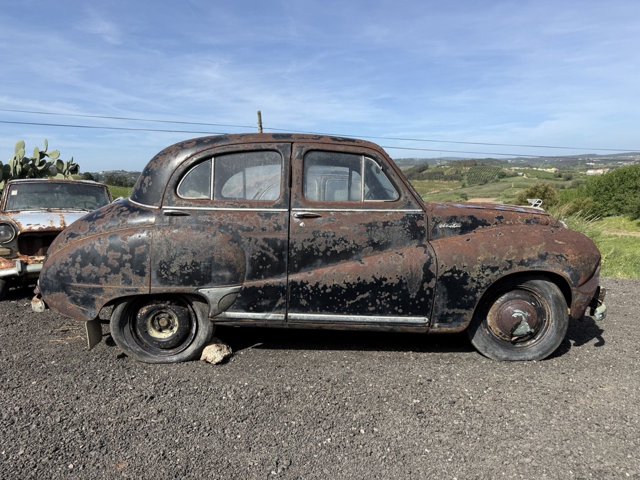 IMG_0433 – grande.jpeg