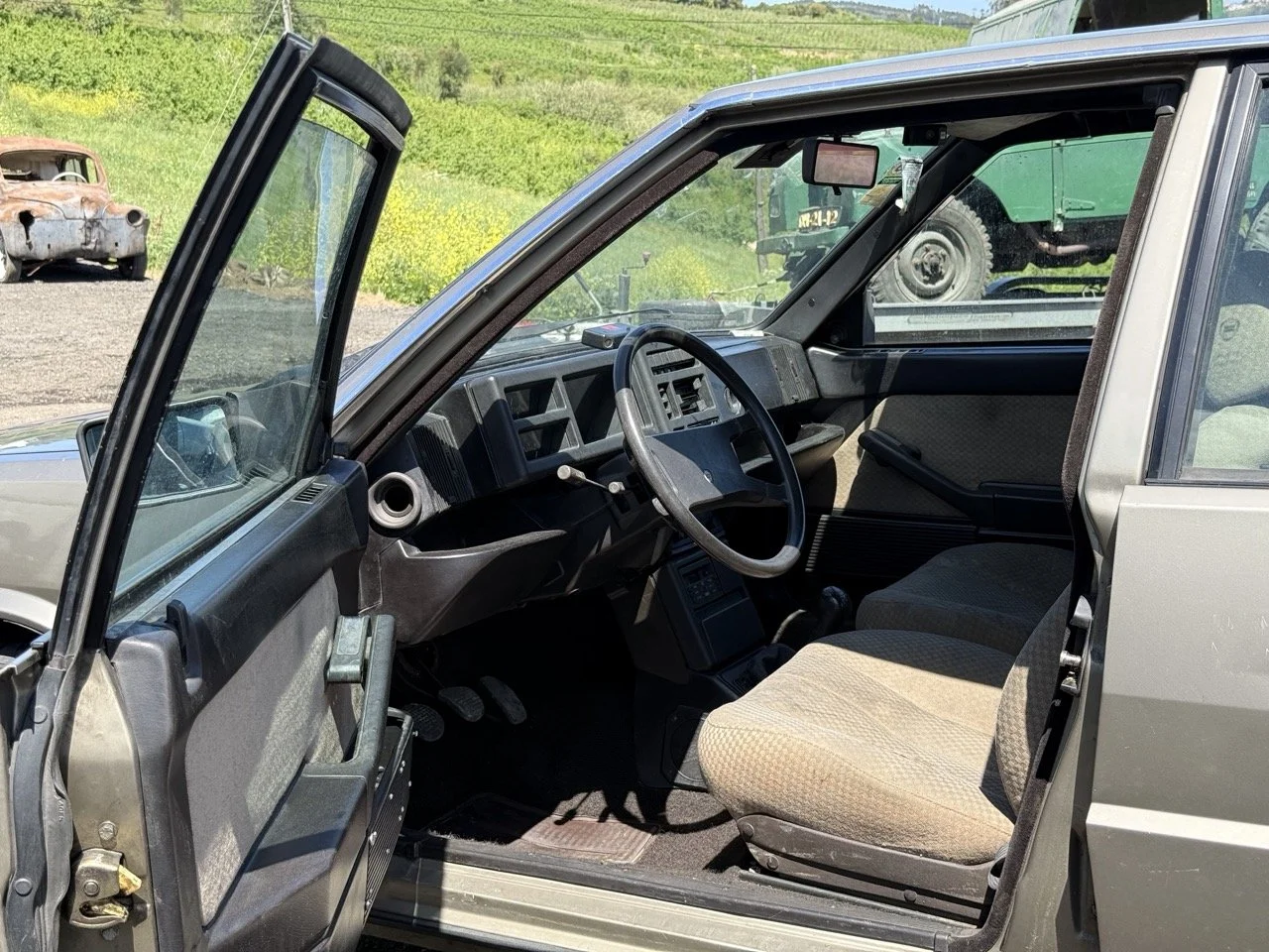 IMG_1878 – grande.jpeg