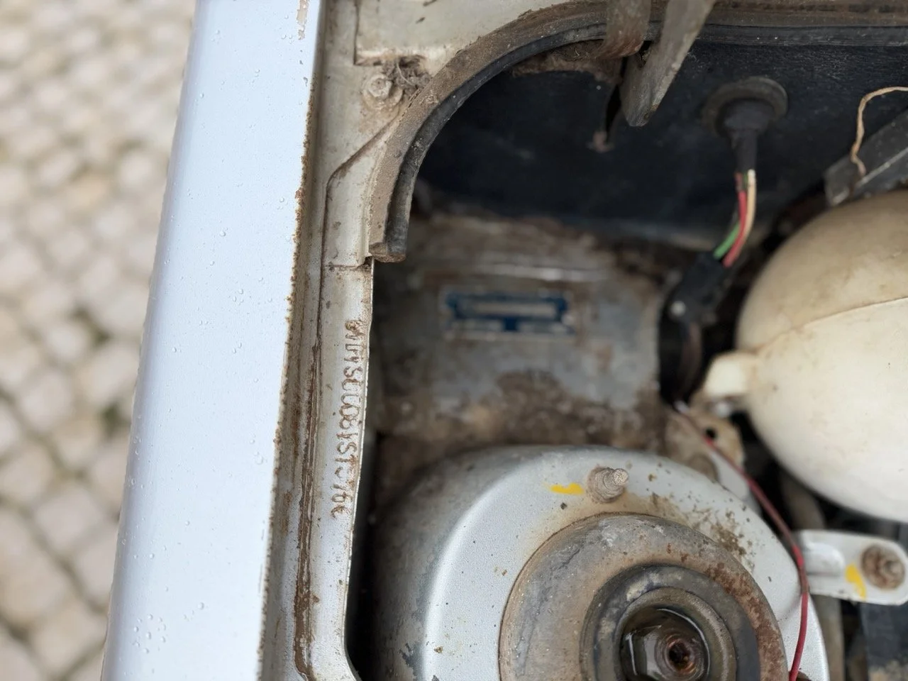 IMG_0523 – grande.jpeg