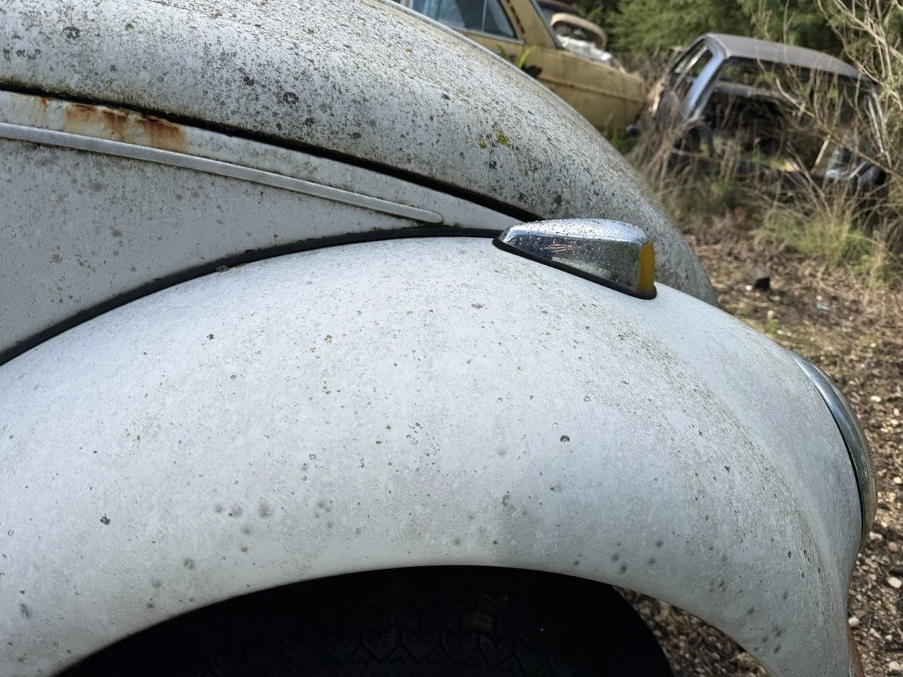 IMG_8586 – grande.jpeg