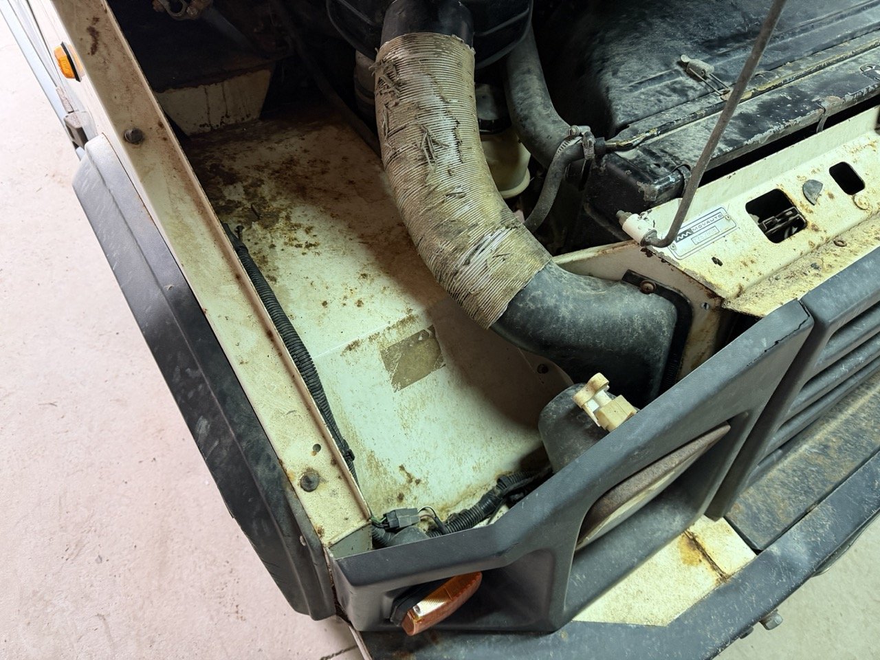 IMG_5203 – grande.jpeg