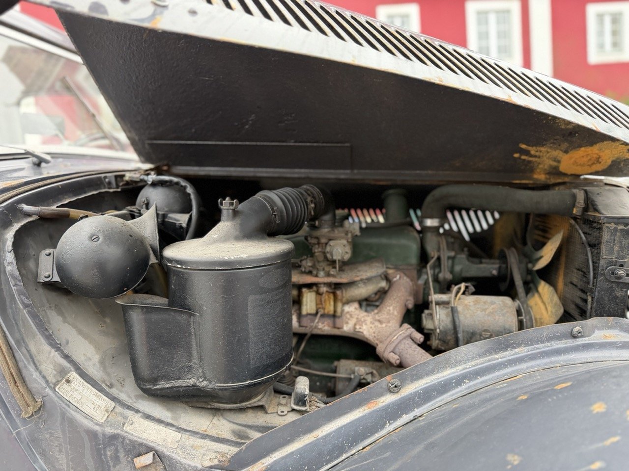 IMG_1850 – grande.jpeg