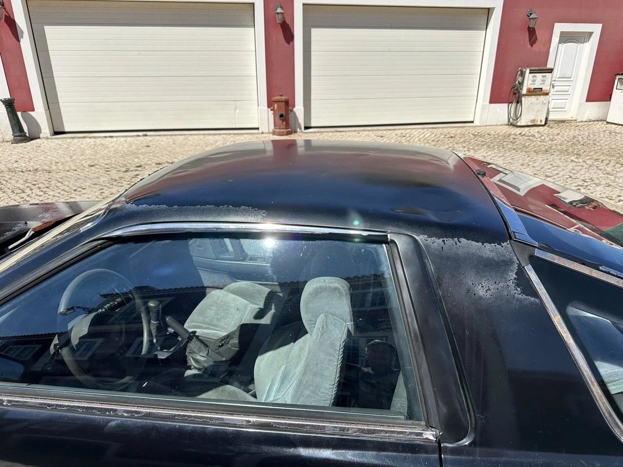 IMG_3167 – grande.jpeg