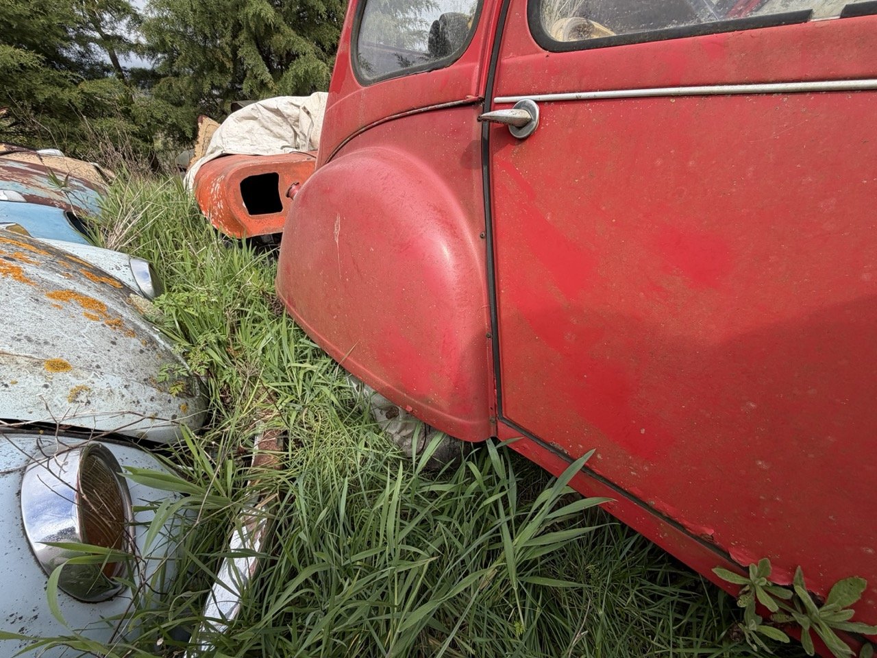 IMG_3886 – grande.jpeg