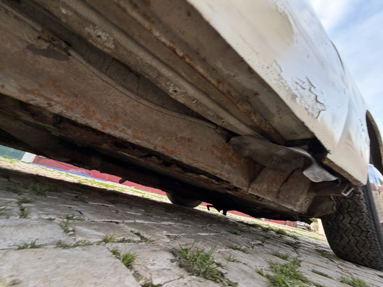 IMG_5988 2 – grande.jpeg