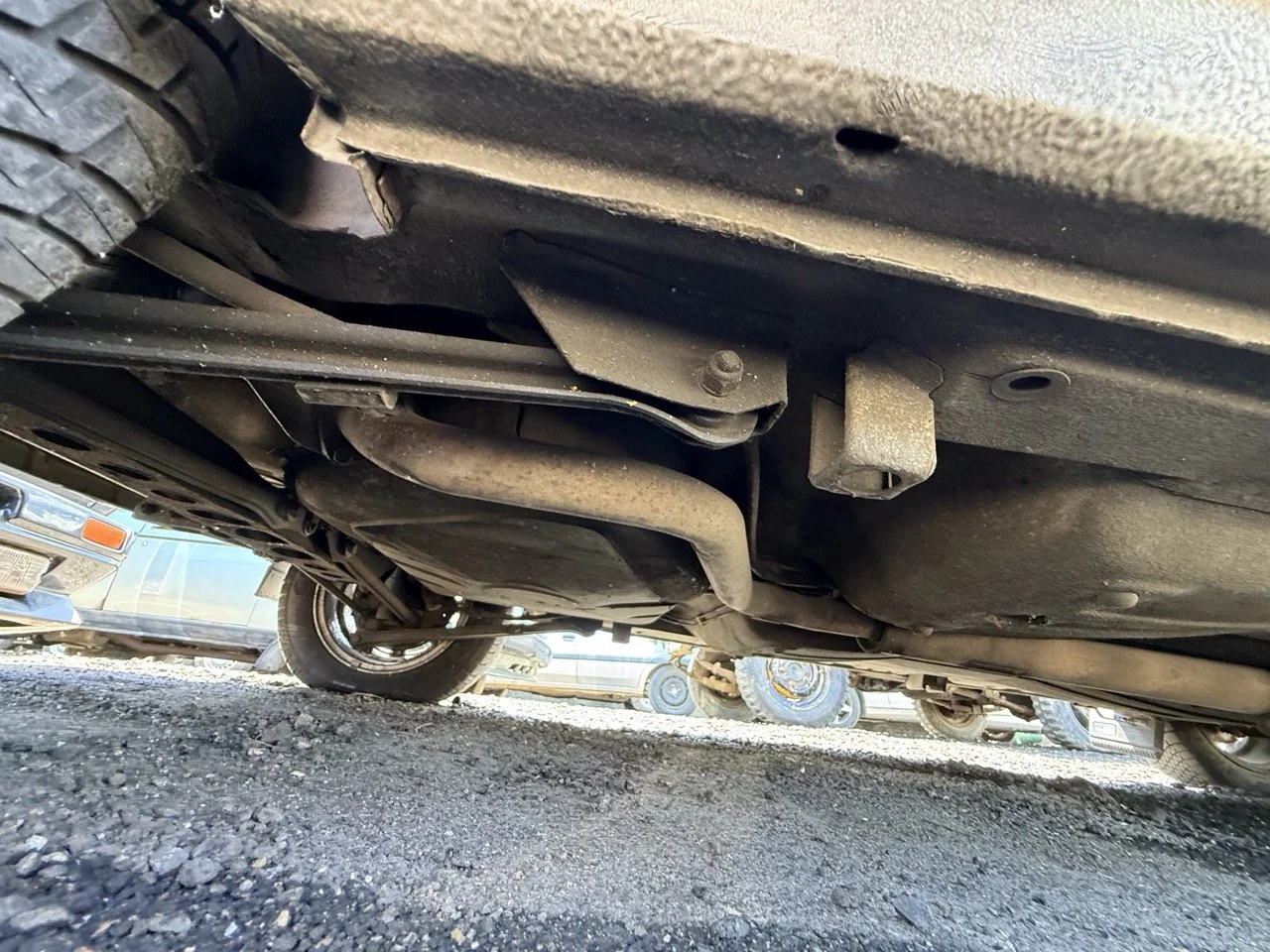 IMG_1958 – grande.jpeg