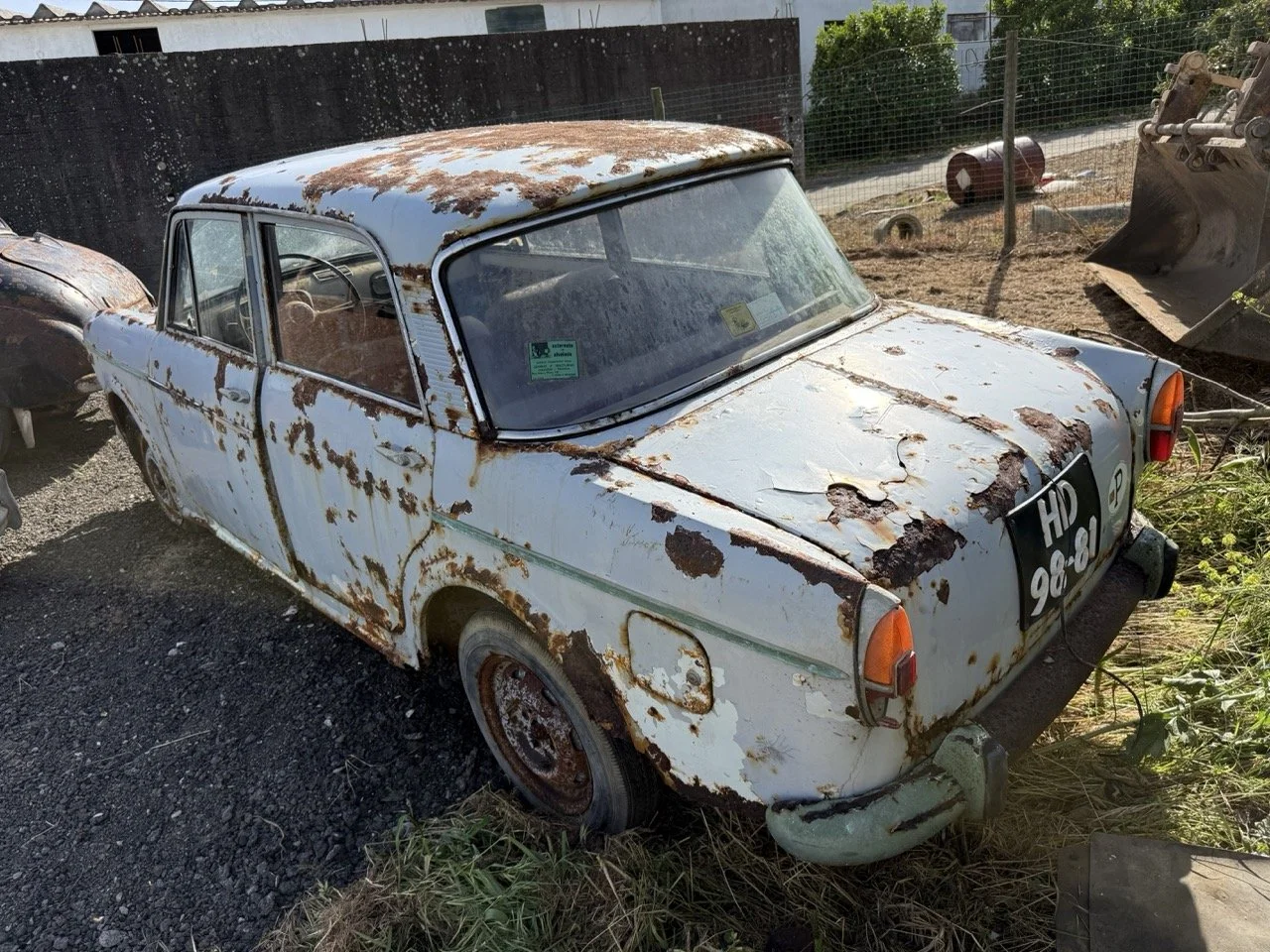 IMG_0482 – grande.jpeg