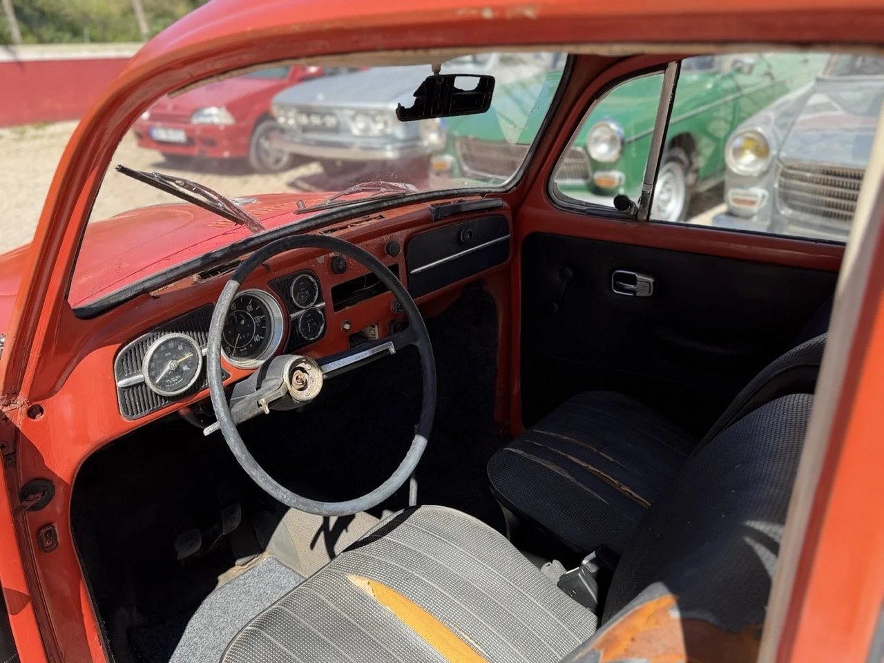 IMG_7521 – grande.jpeg