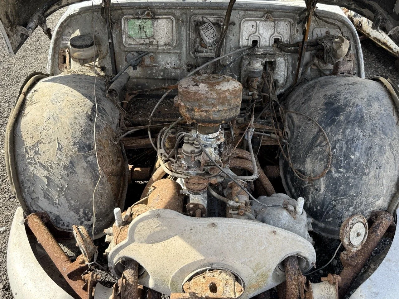 IMG_0331 – grande.jpeg