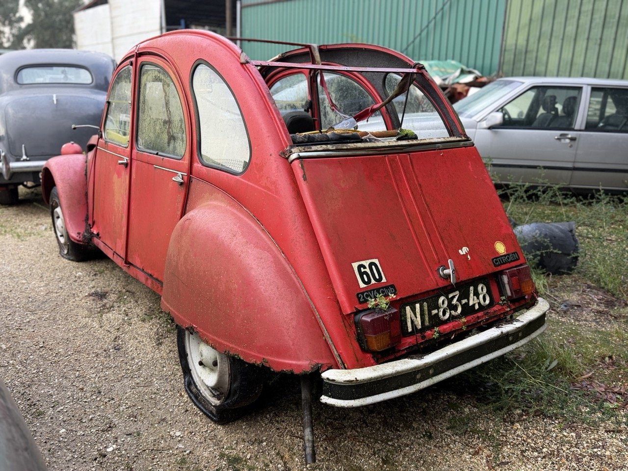 IMG_5470 – grande.jpeg