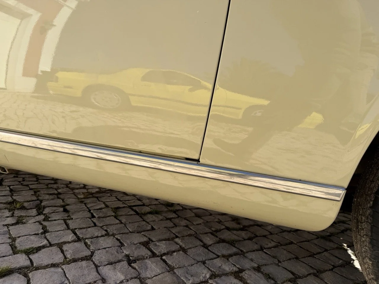 IMG_6739 – grande.jpeg