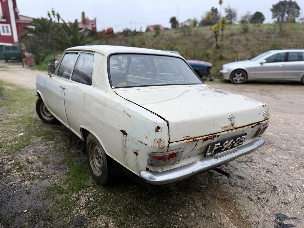 IMG_0113 – grande.jpeg