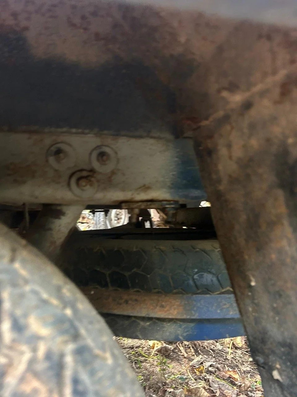 d2a3d55b-de45-41e3-a4c2-492471e9e439 – grande.jpeg