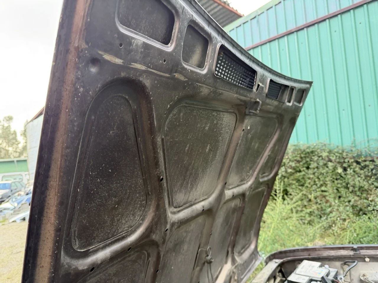 IMG_5281 – grande.jpeg