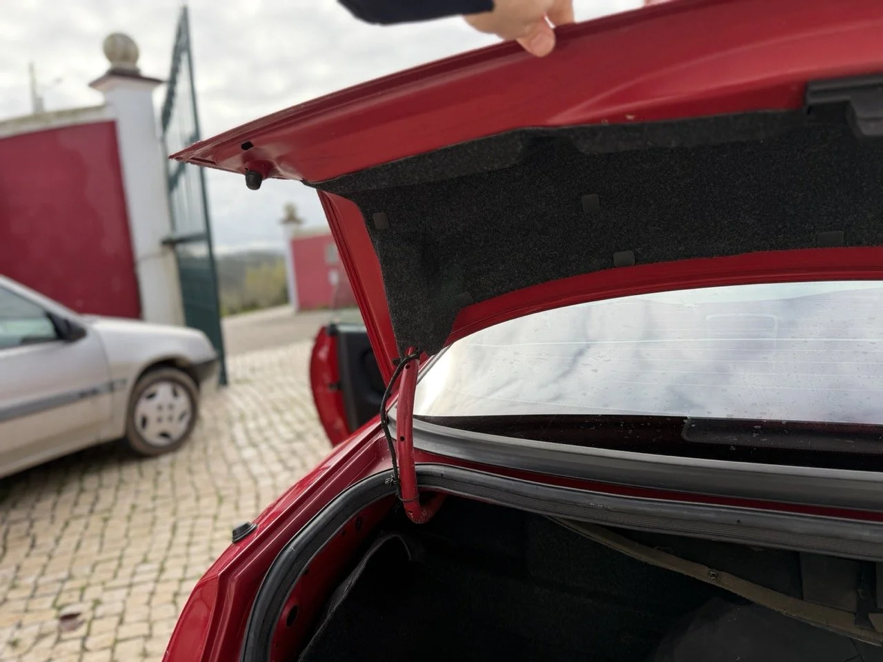 IMG_2288 – grande.jpeg