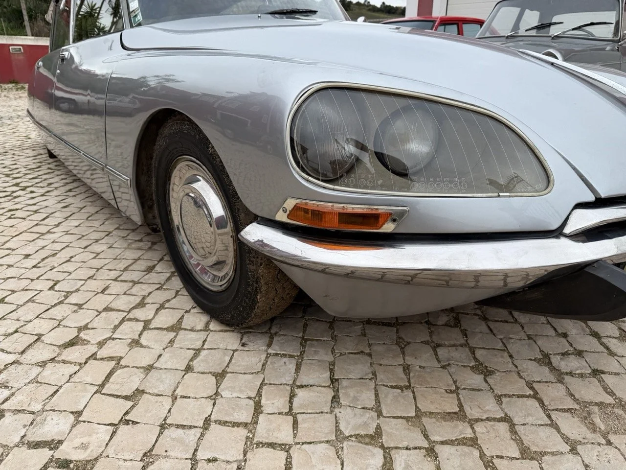 IMG_3751 – grande.jpeg