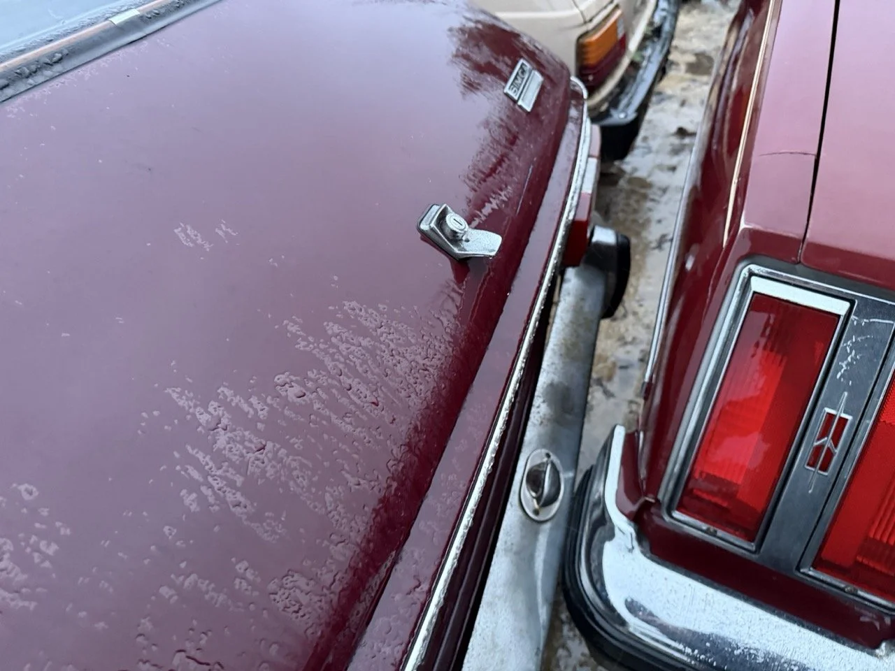 IMG_0315 – grande.jpeg