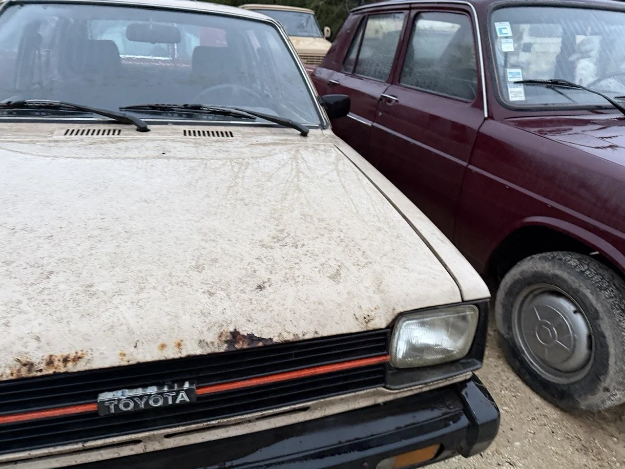 IMG_0260 – grande.jpeg