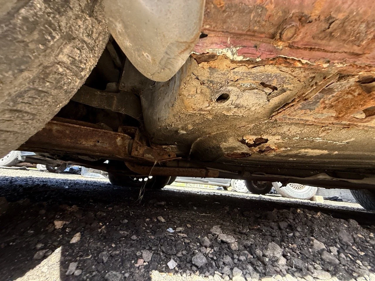 IMG_0960 – grande.jpeg