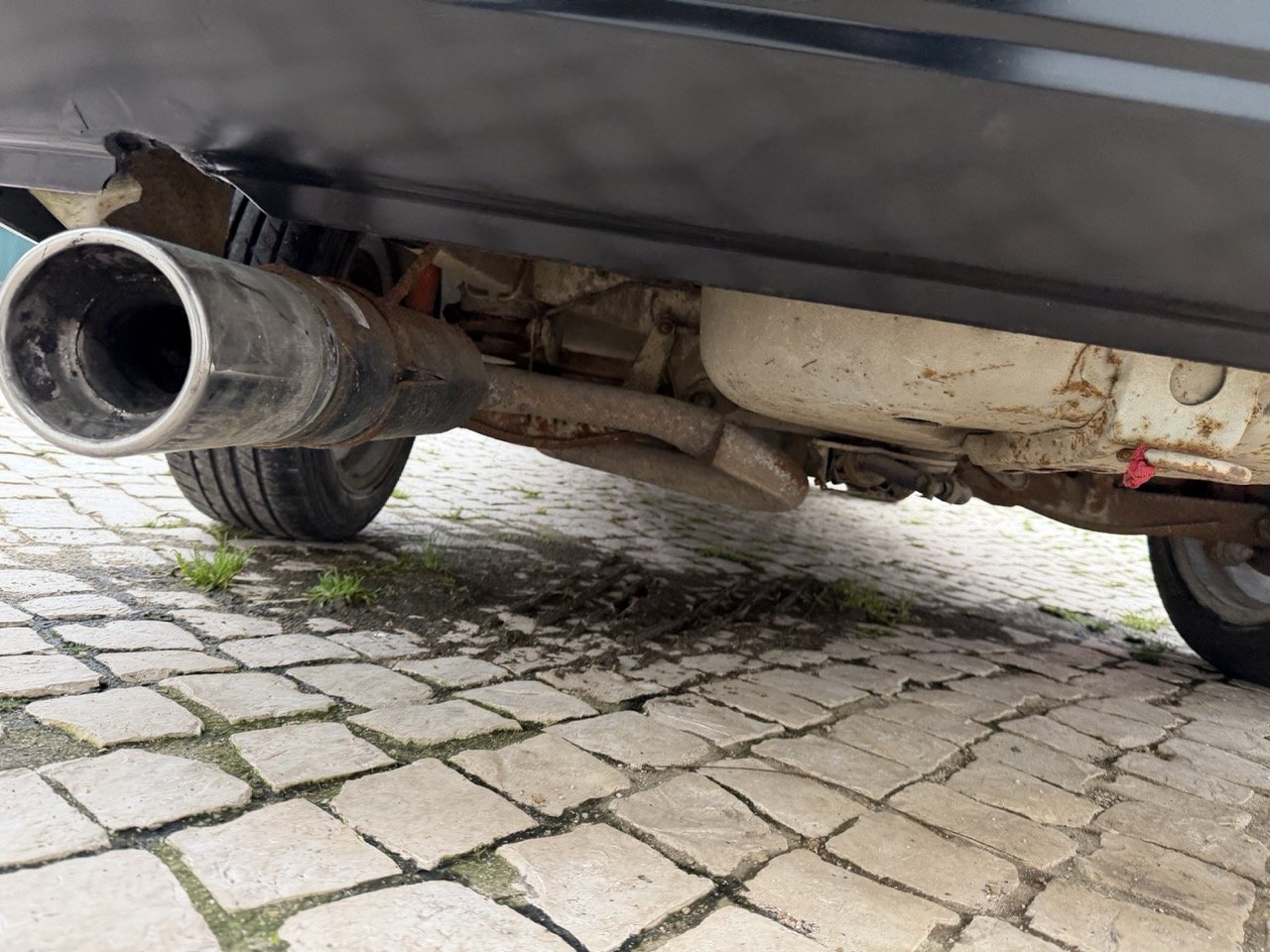 IMG_1309 – grande.jpeg