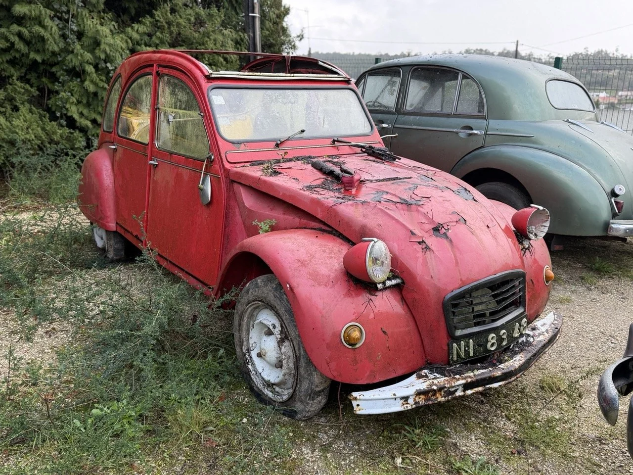 IMG_5467 – grande.jpeg