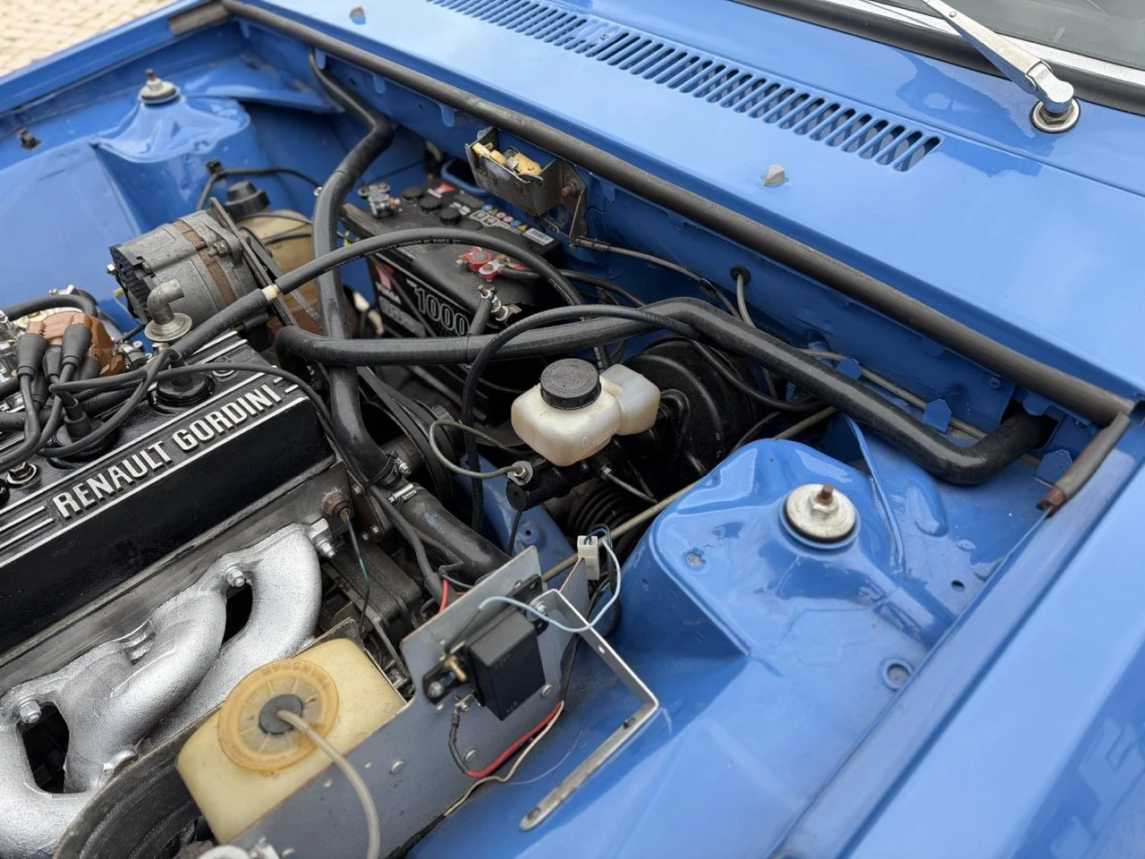 IMG_6041 – grande.jpeg